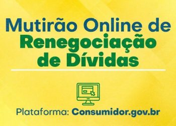 Procon de Nova Venécia realizará mutirão online para a renegociação de dívidas