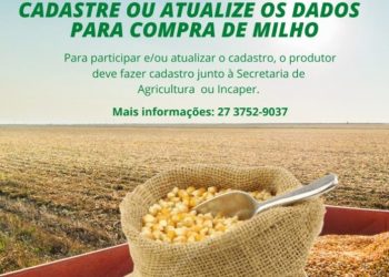 Secretaria de Agricultura está atualizando cadastro de produtores para compra de milho pela Conab