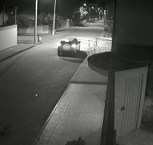 Homem que arrastou cão até a morte é condenado a 3 anos de prisão no ES