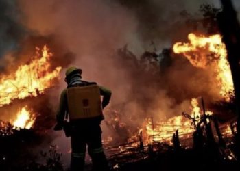 Amazônia tem o maior número de focos de queimadas dos últimos 14 anos para mês de junho
