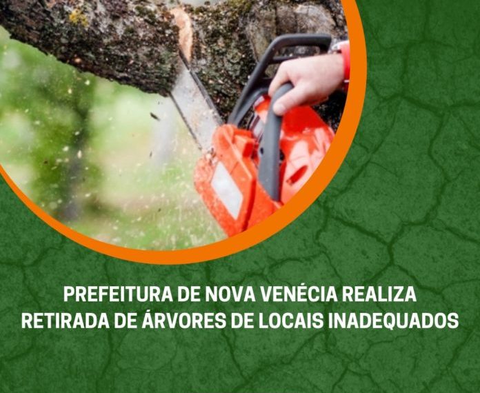 Prefeitura de Nova Venécia realizar retirada de árvores de locais inadequados