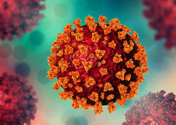 Covid-19: Brasil ultrapassa 100 milhões de pessoas com ciclo vacinal completo