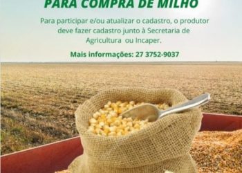 Parceria entre Secretaria Municipal de Agricultura de Nova Venécia e Incaper proporciona compra de milho com preço mais barato