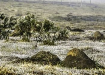 Instituto Nacional de Meteorologia prevê frio intenso em todo o país