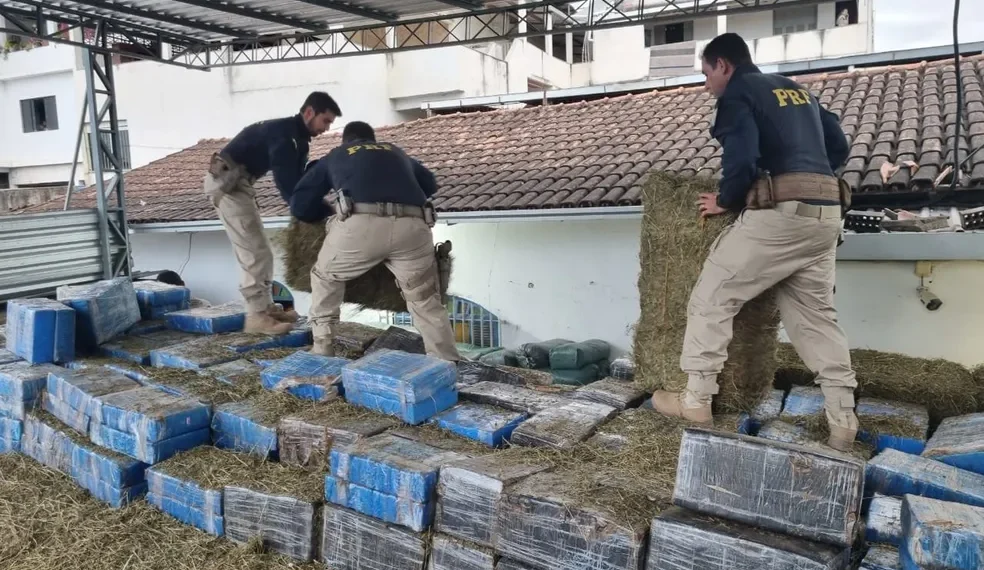 PF do ES faz operação contra quadrilha suspeita de transportar drogas e armas de fogo entre estados do país