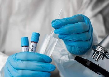 Covid-19: casos de nova variante Éris são confirmados pela 1ª vez no ES