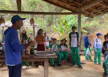 Escolas municipais participam do Programa Agrinho