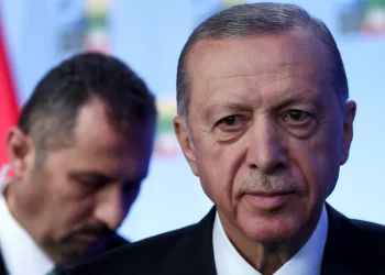 Turquia fará o que for necessário para reconstruir Gaza, diz presidente Erdogan