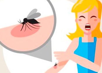 Vinte municípios capixabas receberão as primeiras doses de vacina contra dengue
