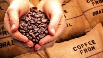Café itensifica alta dos preços futuros em Nova York no início desta quarta-feira (31)