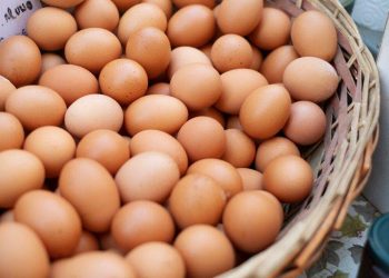 Ovo: vilão ou mocinho? Veja como incluir alimento rico em proteína na dieta
