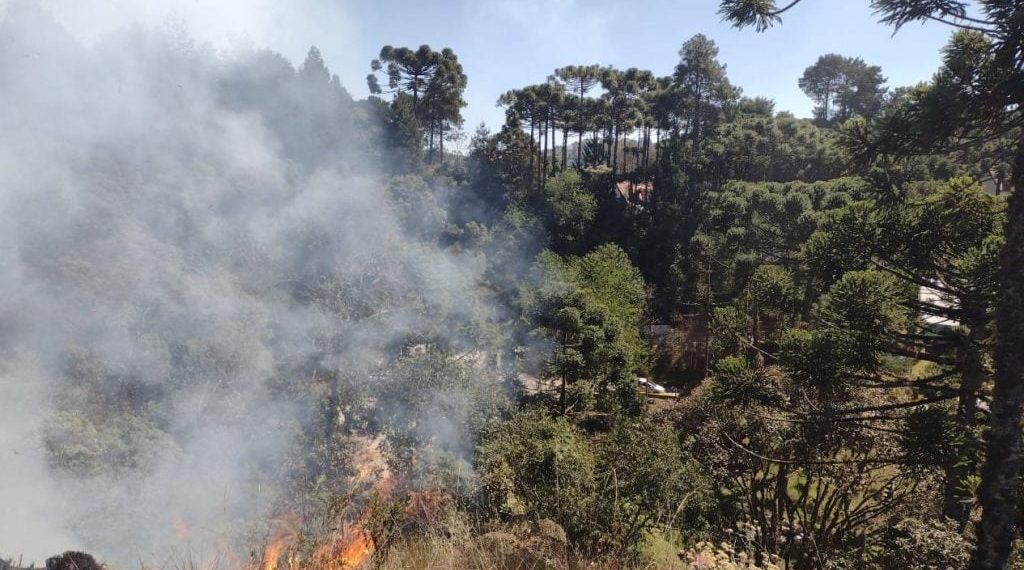 Defesa Civil diz que ação humana causou 99,9% dos incêndios em SP