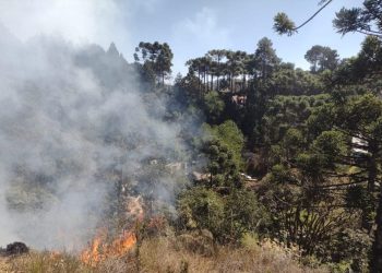 Defesa Civil diz que ação humana causou 99,9% dos incêndios em SP