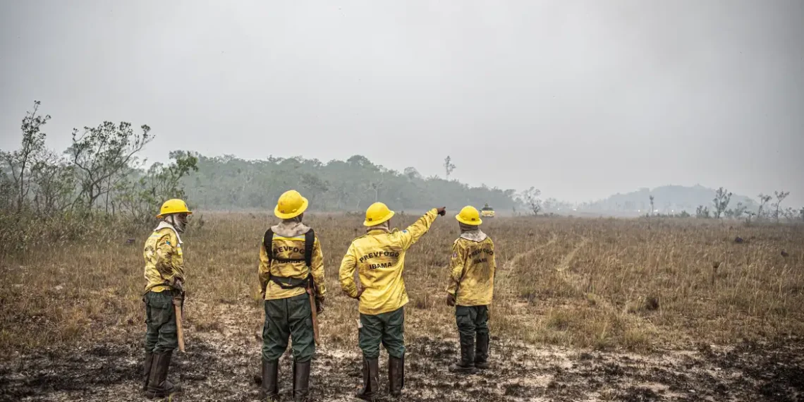 Dino estabelece orçamento de emergência para combate a incêndios