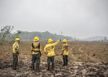 Dino estabelece orçamento de emergência para combate a incêndios