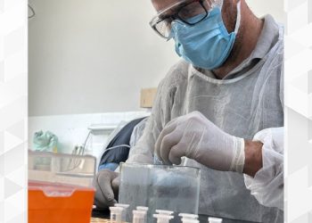 Dia Mundial Contra a Raiva: Idaf alerta sobre cuidados para evitar a disseminação da doença