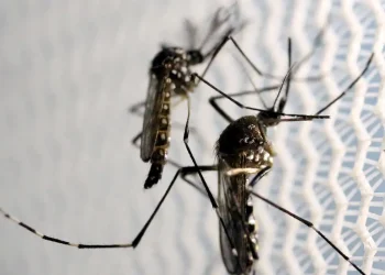 Dia D mobiliza população contra dengue neste sábado