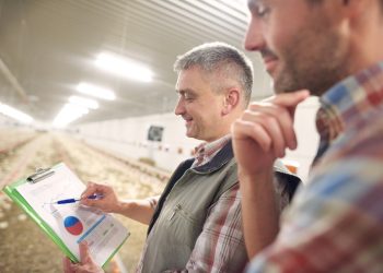 Aplicações de Crédito Rural atingem R$ 4,4 bilhões em cinco meses