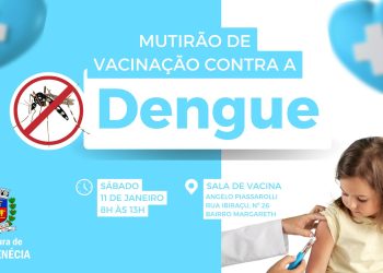 Nova Venécia recebe mutirão de vacinação contra dengue neste sábado