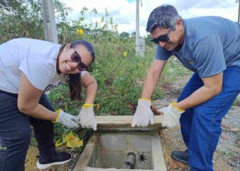 Jaguaré promove Semana de Conscientização sobre Acidentes por Animais Peçonhentos