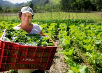 Dia Internacional das Mulheres Rurais: elas transformam o campo e inspiram o futuro da agricultura capixaba