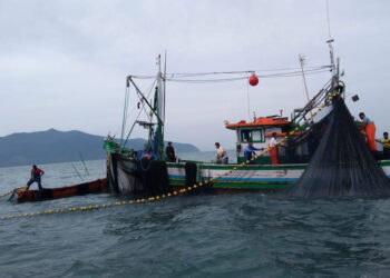 Aprovada restrição à pesca de cerco com traineira na costa