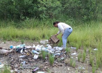 Mutirão contra a dengue elimina 85 focos do mosquito no bairro Iolanda
