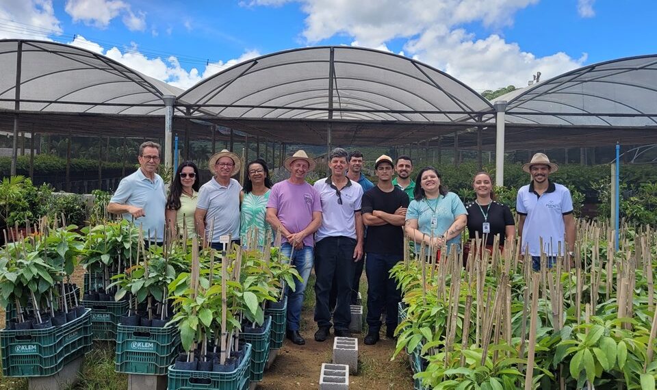 Incaper e produtores investem em boas práticas para qualificar mudas de abacate