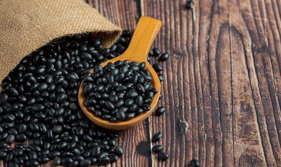 Dia do Feijão destaca alimento símbolo da mesa brasileira