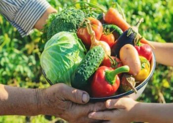 Dia Mundial da Agricultura: Espírito Santo celebra o setor com 17 programas de fortalecimento do campo