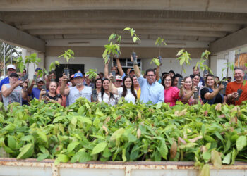 Ales lança programa inédito que abre mercado de crédito de carbono para agricultores familiares do ES