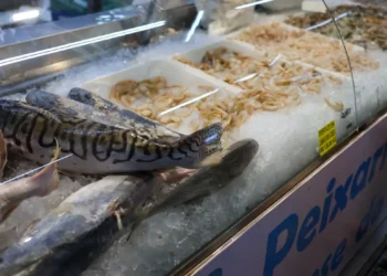 Semana Santa: Vigilância Sanitária orienta sobre cuidados na compra e preparo do pescado