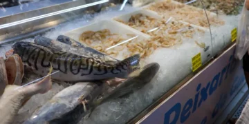Semana Santa: Vigilância Sanitária orienta sobre cuidados na compra e preparo do pescado
