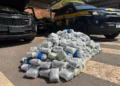PRF apreende 159 kg de haxixe em abordagem na BR-101, na Serra