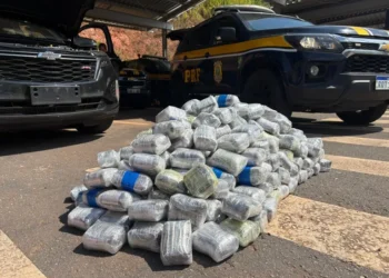 PRF apreende 159 kg de haxixe em abordagem na BR-101, na Serra