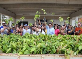 Projeto Arranjos Produtivos distribui mais de 1,5 milhão de mudas para agricultores de 36 municípios capixabas