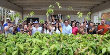 Projeto Arranjos Produtivos distribui mais de 1,5 milhão de mudas para agricultores de 36 municípios capixabas