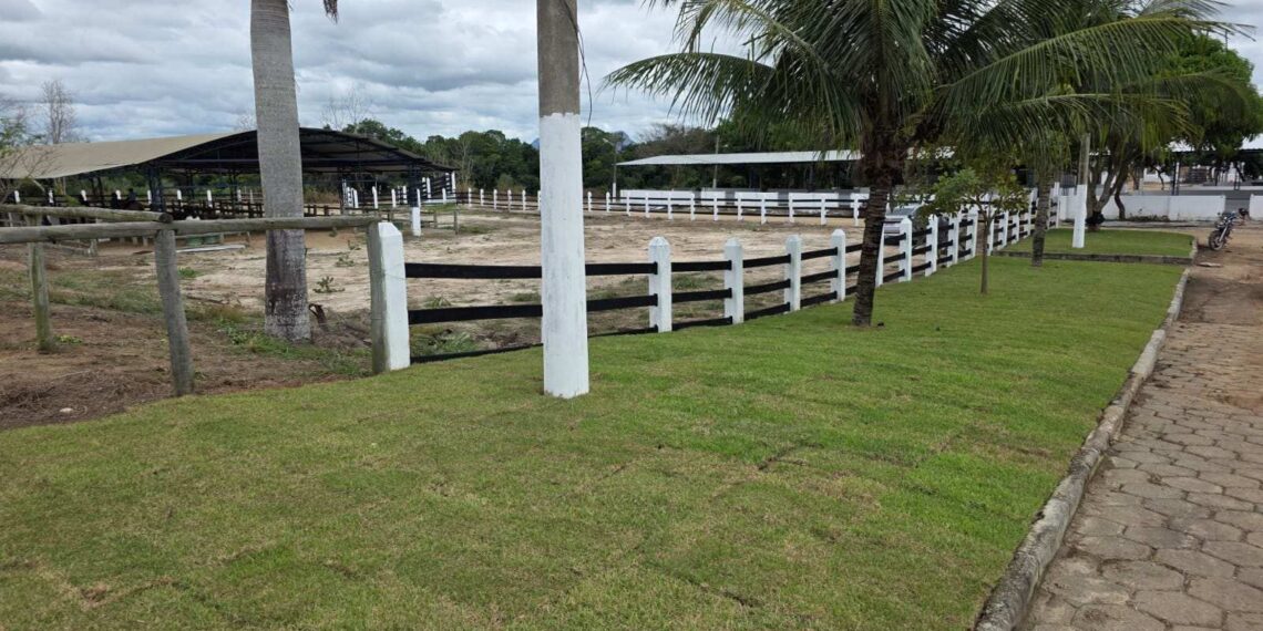 Festa da Cidade de Nova Venécia resgata programação agropecuária após mais de seis anos