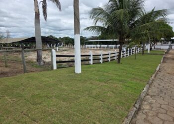 Festa da Cidade de Nova Venécia resgata programação agropecuária após mais de seis anos