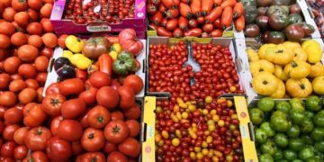 Cesta básica capixaba ultrapassa R$ 790,00; tomate chega a R$ 9,00 o quilo
