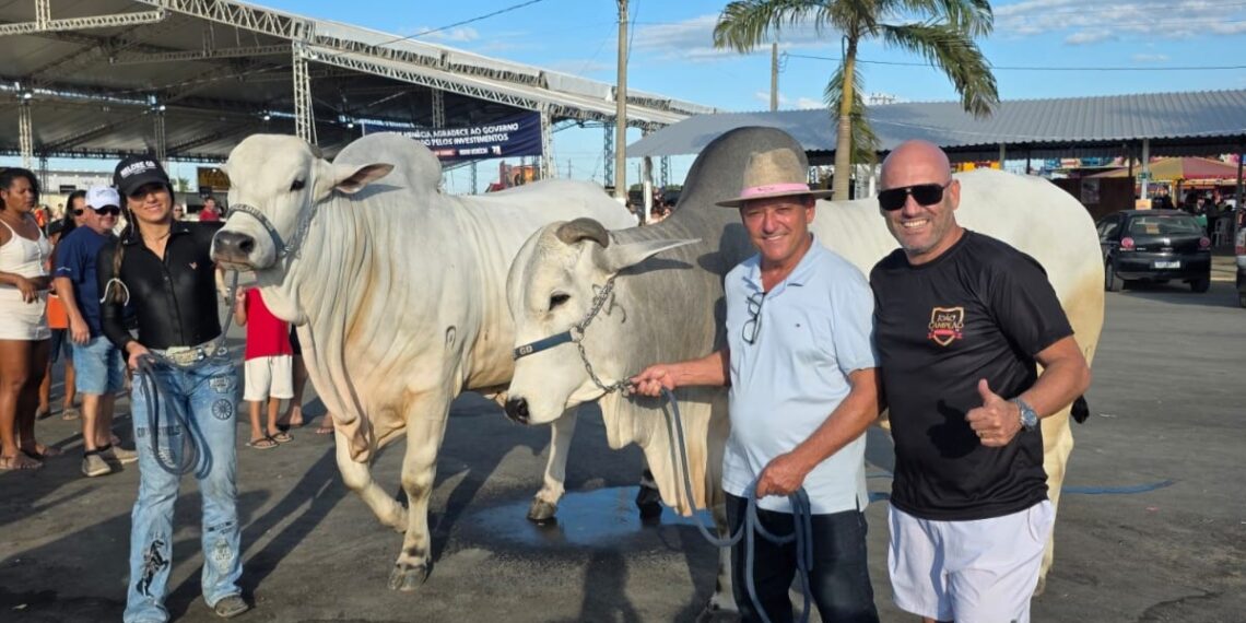 Nova Venécia celebra 72 anos com recorde de público e retomada da tradição agropecuária