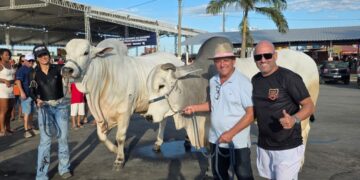Nova Venécia celebra 72 anos com recorde de público e retomada da tradição agropecuária
