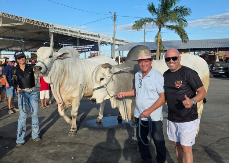 Nova Venécia celebra 72 anos com recorde de público e retomada da tradição agropecuária