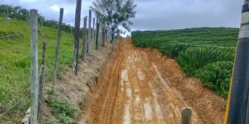 Prefeitura de São Gabriel da Palha intensifica manutenção de mais de 800 km de estradas rurais para período de colheita