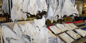 Páscoa mais barata, mas chocolate em alta: enquanto cesta geral recua, bombons acumulam alta de 49% em quatro anos