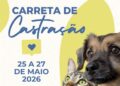 Carreta de castração atende Nova Venécia com procedimentos gratuitos e campanha de vacinação