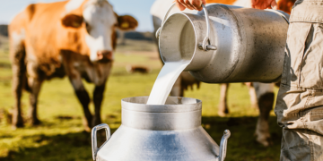 Seag debate pecuária de leite sustentável e sucessão familiar na Agrintex ES 2026 em Cachoeiro