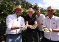 Governador Ricardo Ferraço abre oficialmente colheita do café arábica no ES com previsão de 4,4 milhões de sacas