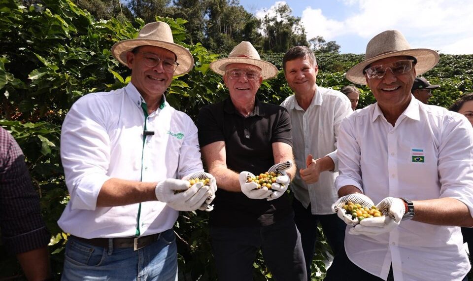 Governador Ricardo Ferraço abre oficialmente colheita do café arábica no ES com previsão de 4,4 milhões de sacas