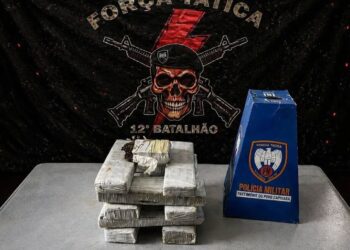 Mulher de 22 anos é presa com quase 8 kg de maconha ao desembarcar de ônibus em Linhares